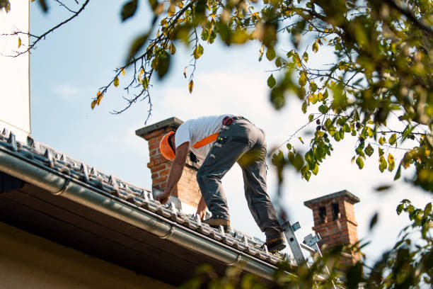 Quick and Trustworthy Emergency Roof Repair Services in Three Rivers, CA